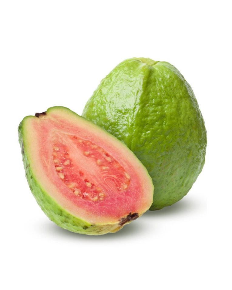 EXPO CEYLON GUAVA