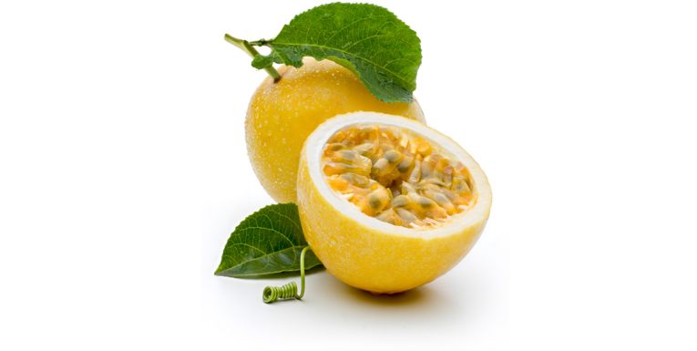 EXPO CEYLON PASSION FRUIT